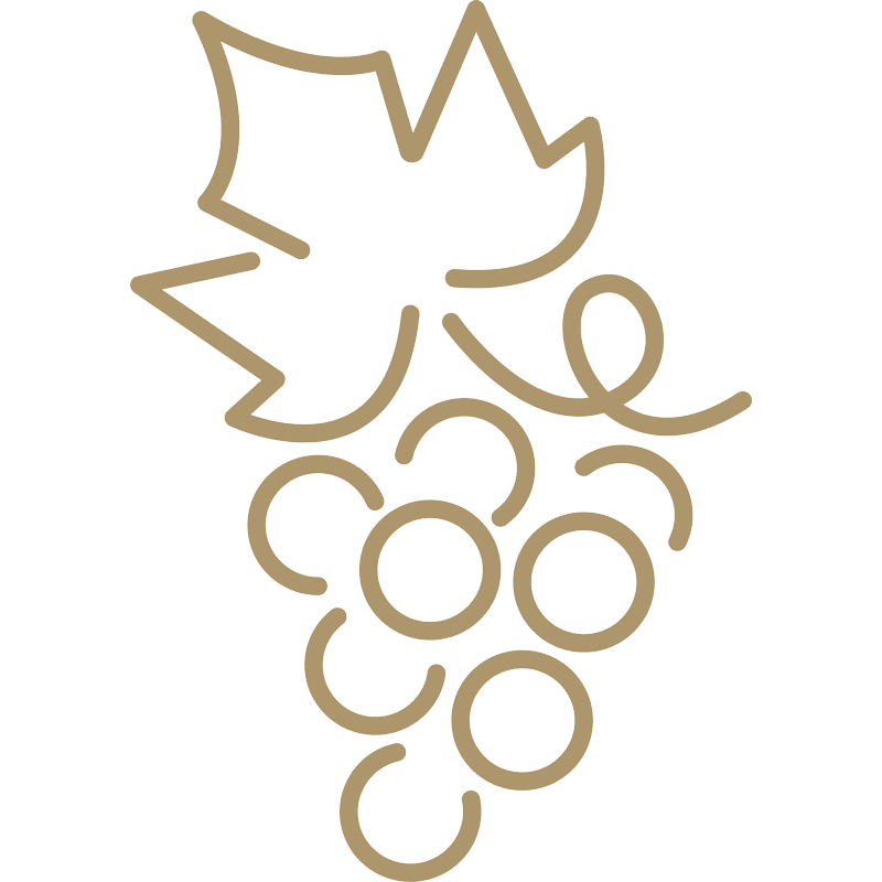 Eine einfache, braune Linienzeichnung einer Weintraube mit einem Weinblatt an der Spitze. Die Illustration verwendet abgerundete Linien für die Trauben und eckige Linien für das Blatt, vor einem hellen Hintergrund.