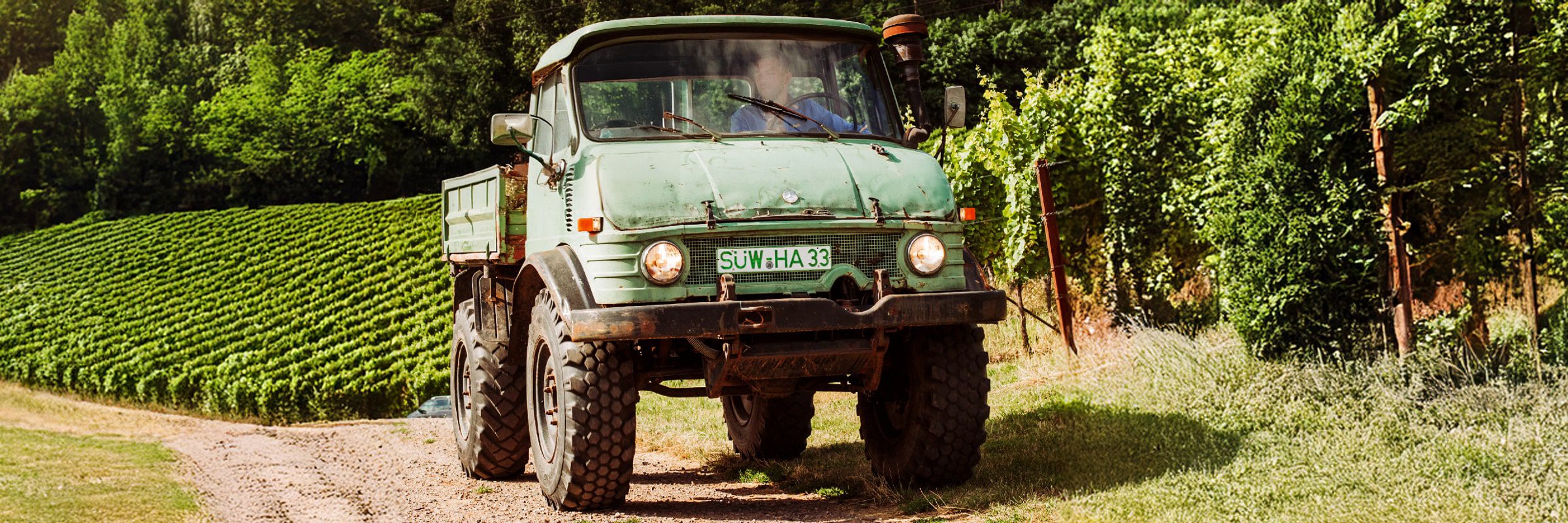 Ein grüner Lastwagen fährt auf einem unbefestigten Weg neben einem Weinberg, mit Reihen von Weinstöcken und dichten grünen Bäumen im Hintergrund.