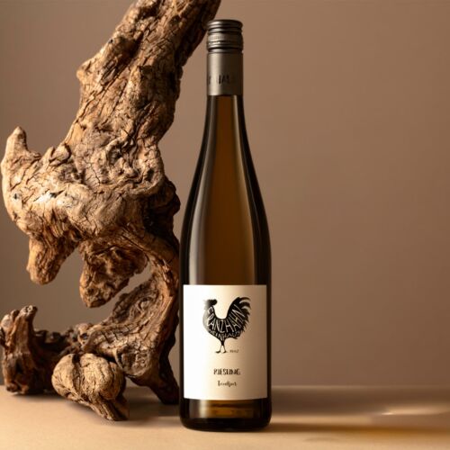 Eine hohe Weißweinflasche mit der Aufschrift "Anzahmer Riesling" steht aufrecht auf einer beigen Fläche, mit einem Stück gedrehten Treibholzes im Hintergrund vor einem neutralen, hellbraunen Hintergrund.