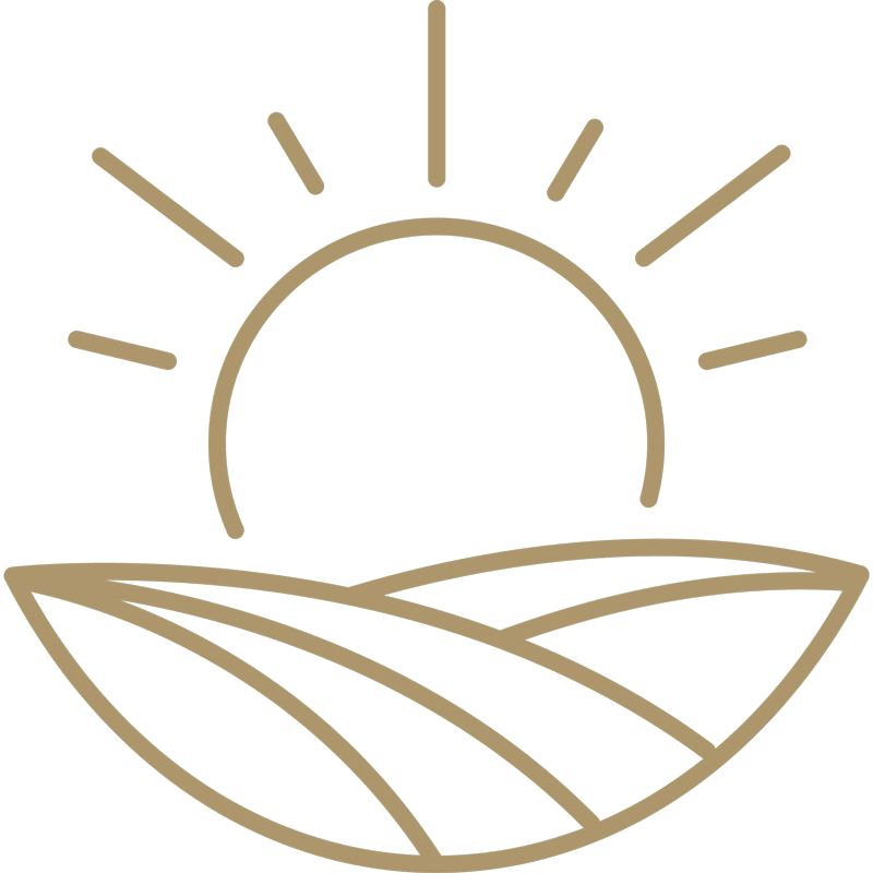 Eine minimalistische Linienzeichnung einer aufgehenden Sonne mit Strahlen über stilisierten Feldern, die den Sonnenaufgang über Ackerland andeuten. Das Design verwendet einfache, gebogene und gerade braune Linien auf weißem Hintergrund.